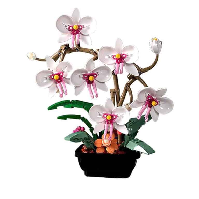 White Orchid Flower JAKI JK29012 Phalaenopsis Ideas Creator Botanical ...